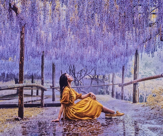 du lich nhat ban thang 4