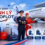 Giải đáp thắc mắc về quy định hành lý Aeroflot cho hành khách