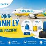 Quy định hành lý Cebu Pacific mới nhất mọi điều bạn cần biết