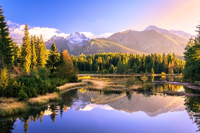 visa slovakia