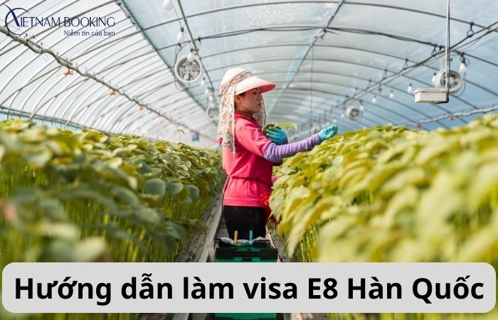Visa E8 Hàn Quốc 2024 – Thủ tục và điều kiện xin visa Hàn Quốc E8