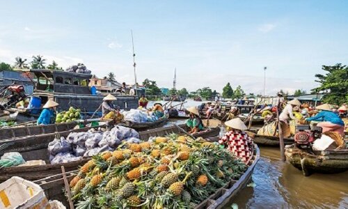 Combo du lịch Cần Thơ