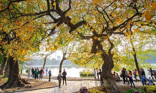 Cimbo Du lịch Hà Nội