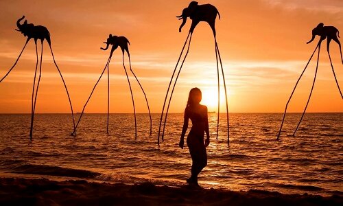 Combo du lịch Phú Quốc