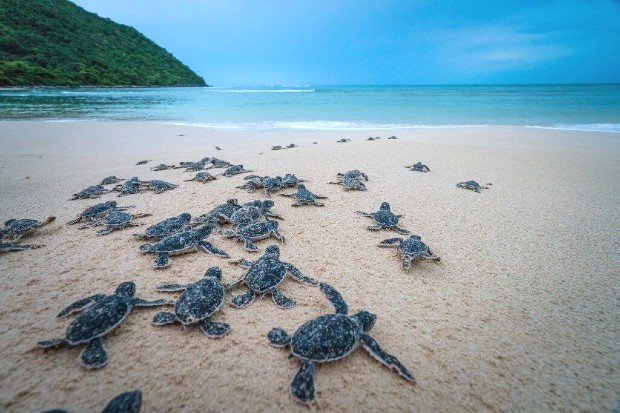 Du lịch miền Nam dịp 30/4