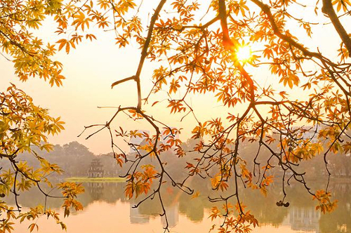 mùa thu Hà Nội