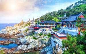 Đặt Vé Máy Bay Đà Nẵng Đi Busan Giá Rẻ