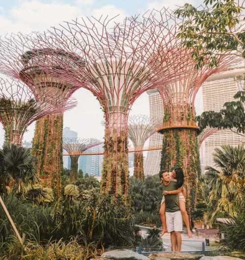 v&eacute; m&aacute;y bay từ Đ&agrave; Nẵng đi Singapore gi&aacute; rẻ