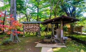 Đặt Vé Máy Bay Đà Nẵng Đi Tokyo Giá Rẻ