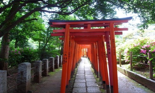 Vé máy bay từ Đà Nẵng đi Tokyo