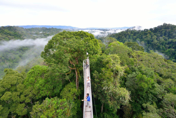 vé máy bay đi Brunei giá rẻ