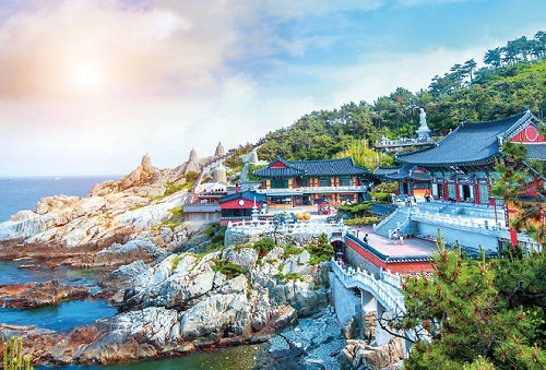 vé máy bay từ hà nội đi busan