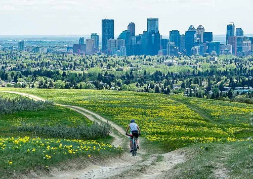 Vé máy bay đi Calgary