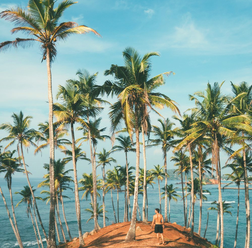 vé máy bay đi Colombo