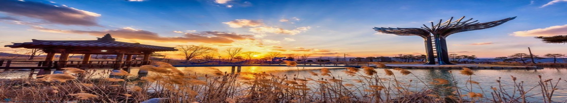 Image Banner default