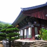 Đặt Vé máy bay đi Daegu giá rẻ
