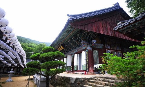 Chùa Yongyeonsa Vé máy bay giá rẻ đi Daegu