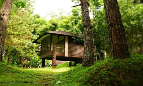 V&eacute; m&aacute;y bay gi&aacute; rẻ đi Davao City
