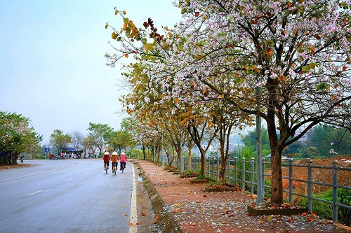 Vé máy bay đi Điện Biên giá rẻ