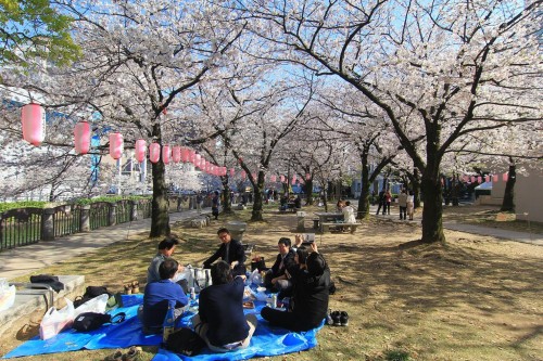 vé máy bay đi Fukuoka