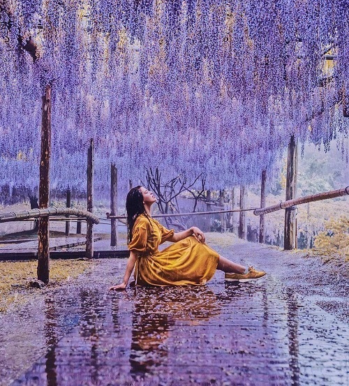 mua vé máy bay từ hà nội đi fukuoka giá rẻ