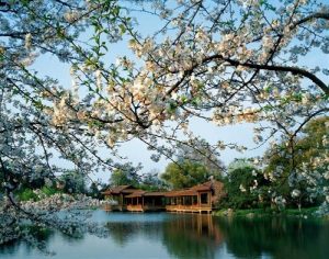 Đặt Vé máy bay đi Hàng Châu (Hangzhou) giá rẻ