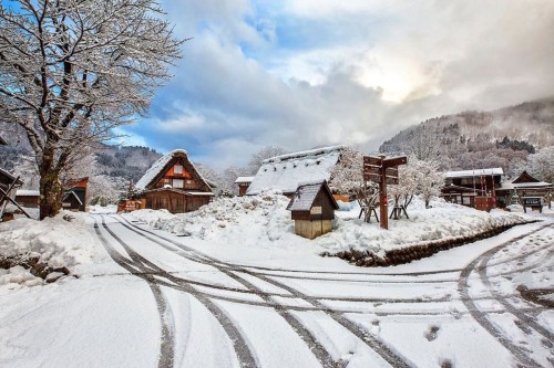 ve may bay di nagoya