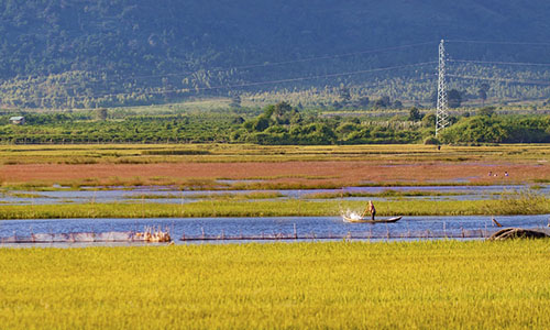 Kinh nghiệm săn vé máy bay Pleiku 