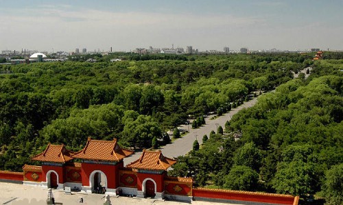 V&eacute; m&aacute;y bay gi&aacute; rẻ đi Shenyang