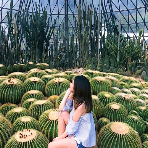 vé máy bay khứ hồi đi thâm quyến