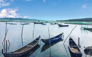 Săn vé máy bay đi Tuy Hòa GIÁ RẺ – Ưu đãi có hạn nhanh tay khám phá tháp Nghinh Phong