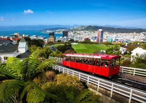 Vé máy bay đi Wellington