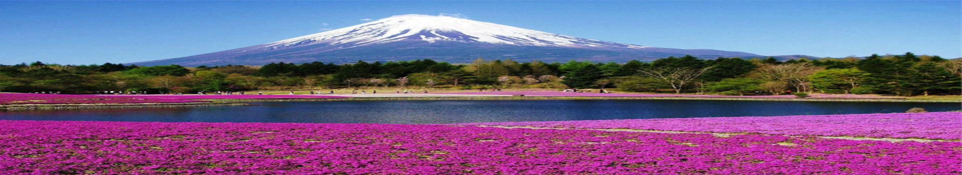 Image Banner default