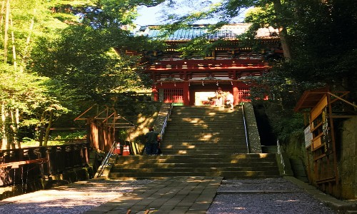 ve may bay tu ha noi di shizuoka gia re