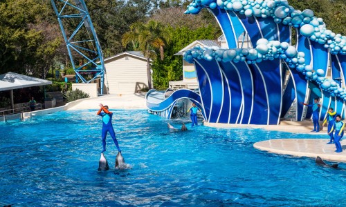 ve may bay tu ha noi di orlando gia re