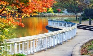Đặt Vé Máy Bay Hà Nội Đi Raleigh/Durham Giá Rẻ