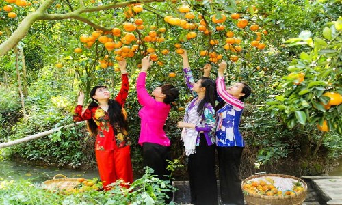 Vé máy bay từ Phú Quốc đi Cần Thơ 