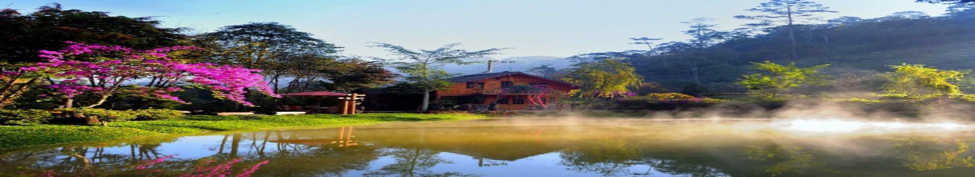Image Banner default