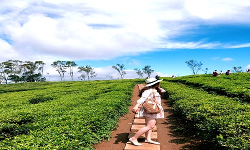 V&eacute; m&aacute;y bay từ Ph&uacute; Quốc đi Pleiku