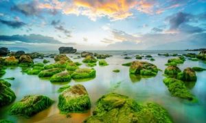 Vé máy bay Pleiku (Gia Lai) đi Đà Nẵng giá rẻ