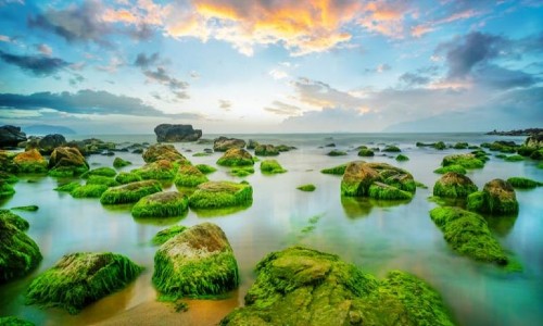 Vé máy bay từ Pleiku đi Đà Nẵng