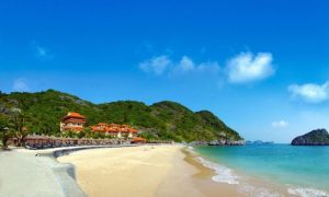 Vé máy bay Quy Nhơn đi Hải Phòng giá rẻ