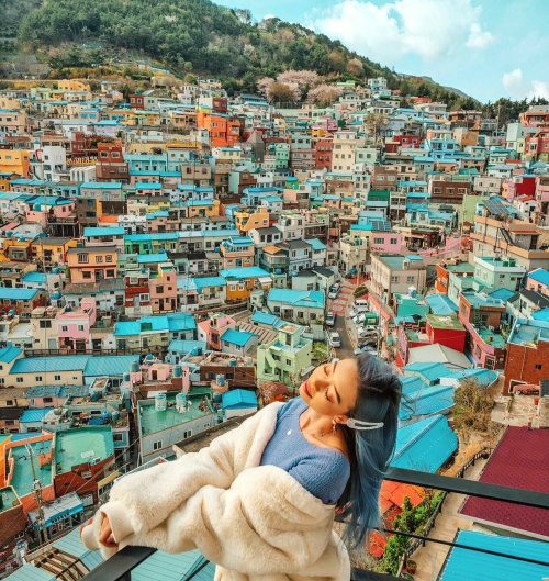 v&eacute; m&aacute;y bay từ Tp Hồ Ch&iacute; Minh đi Busan gi&aacute; rẻ