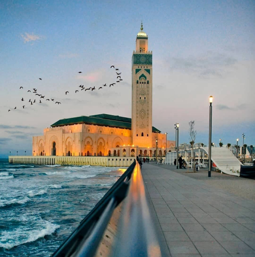 vé máy bay từ Tp Hồ Chí Minh đi Casablanca