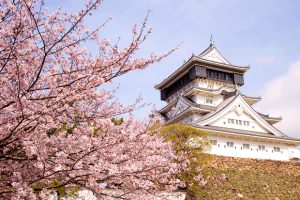 Đặt Vé Máy Bay Hồ Chí Minh đi Fukuoka Giá Rẻ