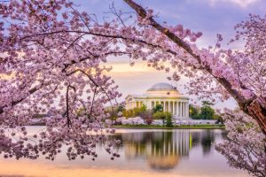 Vé máy bay từ TP. Hồ Chí Minh (SGN) đi Washington (IDA) giá rẻ
