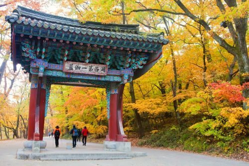 vé máy bay từ Tp Hồ Chí Minh đi Cheongju giá rẻ