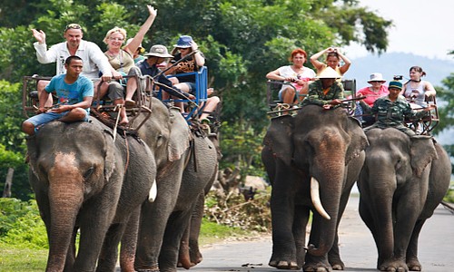 vé máy bay thanh hóa đi buôn mê thuột