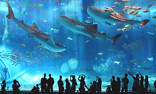 vé máy bay thanh hóa phú quốc