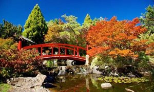 Vé máy bay Hồ Chí Minh đi Adelaide giá rẻ